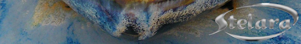 banner-stelara